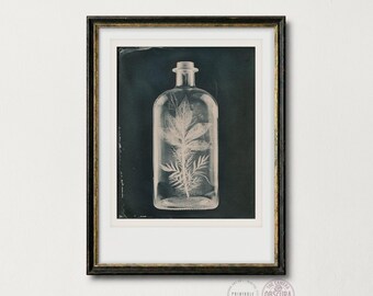 Cyanotype Bottle Botanical Print | Dark Academic Wall Art | Photogram Photography (Digital Download)