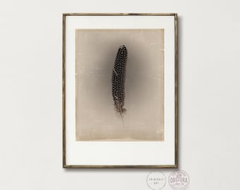 May include: A framed art print showcasing a close-up of a feather. The feather is dark brown with small white spots, set against a sepia-toned background. The print is in a gold-coloured frame, creating a vintage aesthetic.