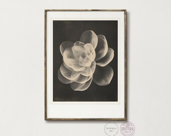 Sepia Botanical Print | Vintage Style Flower Photo (Digital Download)