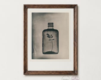 May include: A framed sepia-toned print featuring a bottle with a plant inside. The bottle is rectangular with a cylindrical neck. The plant has several leaves. The frame is dark brown. The print is labeled "The Camera Obscura Art Co."