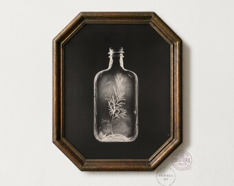 Botanical Photogram Art Print | Dark Academia Curiosity | Vintage Bottle Wall Art (Digital Download)