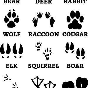 Traces d'animaux SVG Vector - Téléchargement numérique - Aucun produit physique