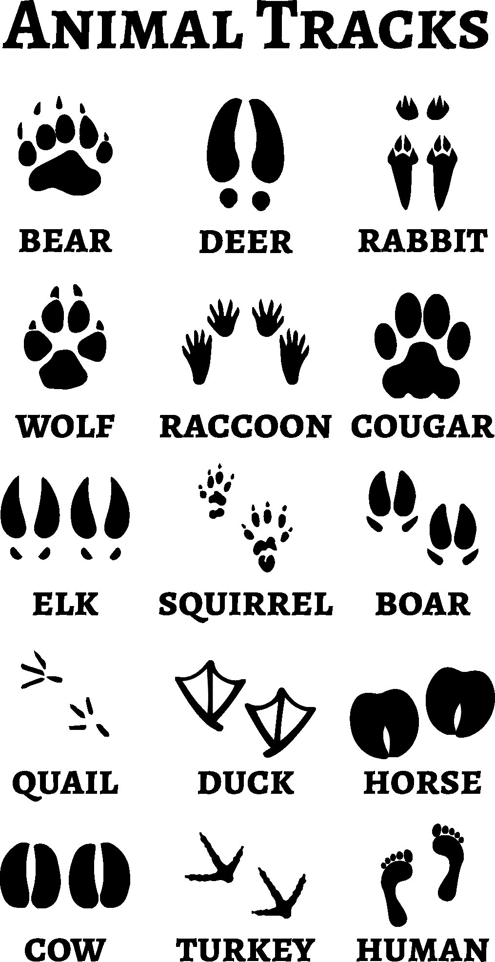 animal-track-stencil-etsy