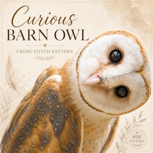 May include: A close-up of a barn owl with a curious gaze. The owl has a white, heart-shaped face, large black eyes, and a light brown and white feathered body. The text "Curious Barn Owl" and "Cross Stitch Pattern" are visible.