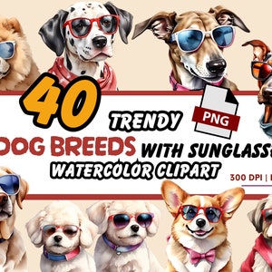 Trendy Dog Breeds with Sunglasses Watercolor Clipart, PNG, 40 High-Quality Digital Illustrations for Creative Projects, Instant Download