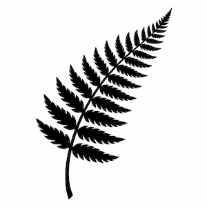 Puede incluir: Silueta negra de una fronda de helecho sobre fondo blanco. El tallo del helecho se curva ligeramente, con folíolos simétricos y detallados a lo largo de su longitud. Es una ilustración botánica simple y de alto contraste.