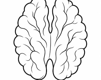 Walnut Kernel Outline - DXF SVG PNG dwg