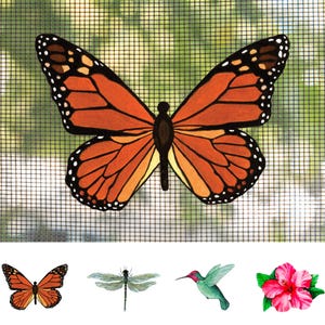 May include: A monarch butterfly with orange and black wings is shown against a green screen. The butterfly is in focus, while the screen is blurred in the background.