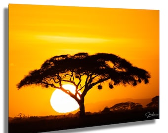 African Sunset Print: Kenya Savannah, Acacia Tree Photography