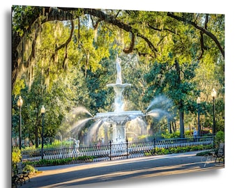 May include: A white multi-tiered fountain with a central statue stands in a park, surrounded by lush green trees with hanging moss. Water sprays from the fountain into a basin, enclosed by a black metal fence under warm, golden sunlight.