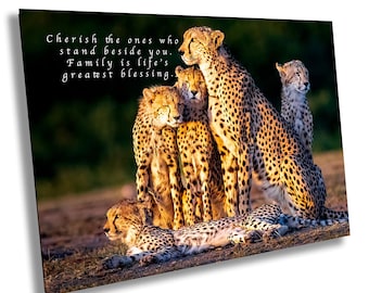 Cheetah Family Love Print: African Safari Wall Art, Kenya Photography