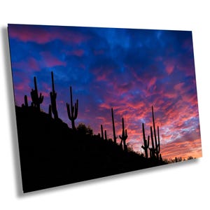 Seguaro Sunrise Farbfotografie brillante Farben Leinwand Metall Acryldruck Wandkunst Poster