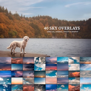 Peut inclure: 40 superpositions de ciel pour la photographie animalière spéciale. Une collection de 40 superpositions de ciel numériques présentant une variété de formations nuageuses, de couchers de soleil et de levers de soleil. Ces superpositions peuvent être utilisées pour améliorer votre photographie animalière en ajoutant de la profondeur et de la dimension à vos images.