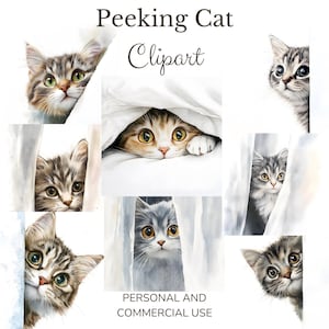 Gluren kat clipart. Aquarel. Transparante en paginagrote afbeeldingen. Kattenliefhebbers. Dierenliefhebbers. Commercieel gebruik. Ambachtelijke levering