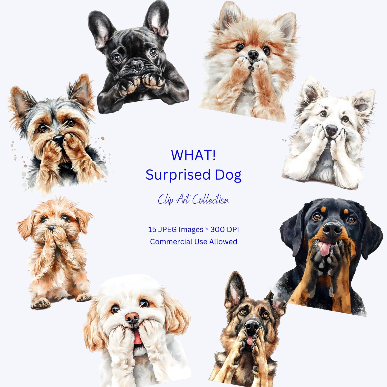 WHAT! Surprised Dog Clip Art. Transparent Images. Watercolour ...