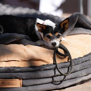 Hundekissen Cama