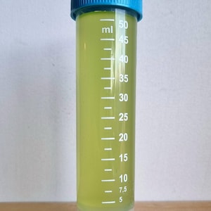 Live Nannochloropsis sp. Algae Culture – Nutrient-Dense Green Microalgae for Cultivation