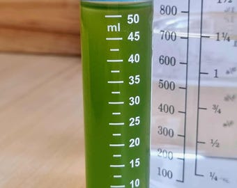 Lebende Chlorella sp. Algenkultur - Grüne Mikroalgen mit hoher Nährstoffdichte