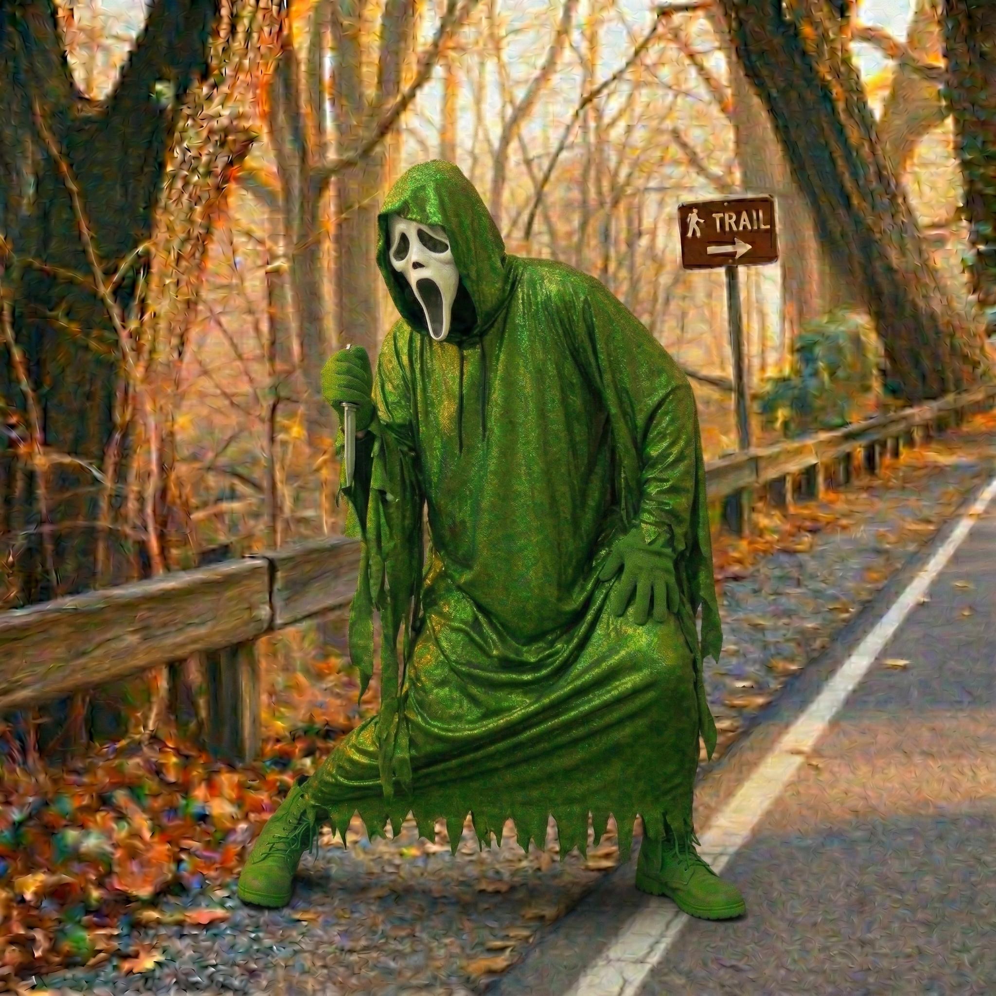 Slasher Robe Luxury Glitter Horror Cloak, Sparkle Slasher Robe Costume, Shimmer ...