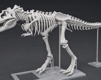Archivo de modelo 3D de esqueleto de T-Rex para arte digital e impresión 3D / Dinosaurio Tyrannosaurus Rex STL