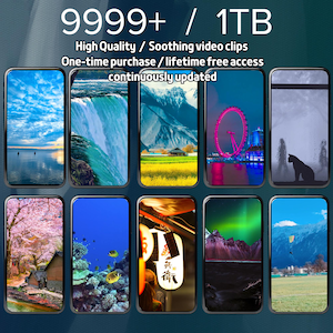 9999+ videoclip rilassanti Reels di alta qualità acquisto una tantum con accesso gratuito a vita Google Drive Scarica la risorsa del mercato video Tiktok