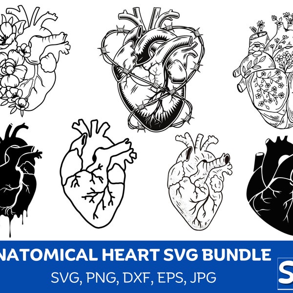 Anatomical Heart Svg Bundle, Flower Heart Svg, Human Heart Svg, Anatomy Svg, Heart SVG, Cardiology Svg,Realistic Heart Svg, Heart Svg Bundle
