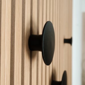 Op de afbeelding: Zwarte ronde knophaken gemonteerd op een houten muur met verticale strepen.