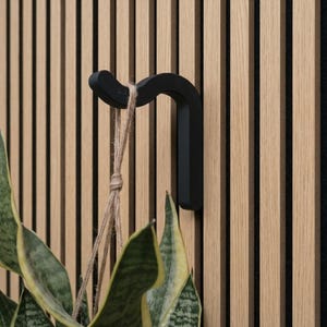 Peut inclure: Un crochet mural en métal noir mat au design incurvé fixé sur un panneau à lattes en bois brun clair. Une plante serpent verte et jaune est suspendue au crochet par une fine cordelette en jute brun clair, devant les lattes verticales.