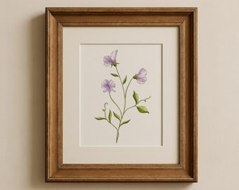 Custom Sweet Pea Watercolor Painting: Personalized April Birth Flower Art