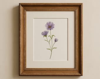 Custom September Birth Flower | Watercolor Art: Aster Painting