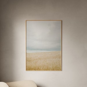 Premium Print, Nature Photography, Wheat Field, Digital Download Art