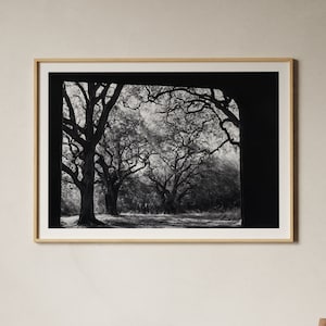 Arte digitale premium, fotografia naturalistica, bianco e nero, download digitale