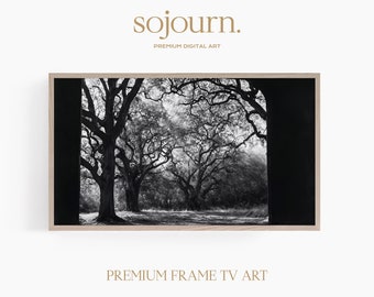 Nature Photography Samsung Frame TV Art, Black & White, Digital Download Art