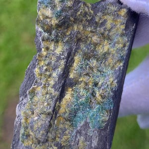 May include: A dark grey mineral specimen with clusters of yellow and teal crystal formations. The crystals have a radial, starburst-like appearance, contrasting with the rough, textured surface of the rock. The mineral is held by a white cloth.