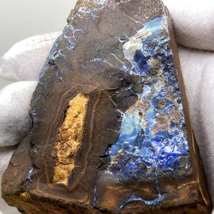 Op de afbeelding: Een ruwe, donkerbruine steen met vlekken van blauwe en witte opaal. De opaal heeft een glinsterende, iriserende kwaliteit.