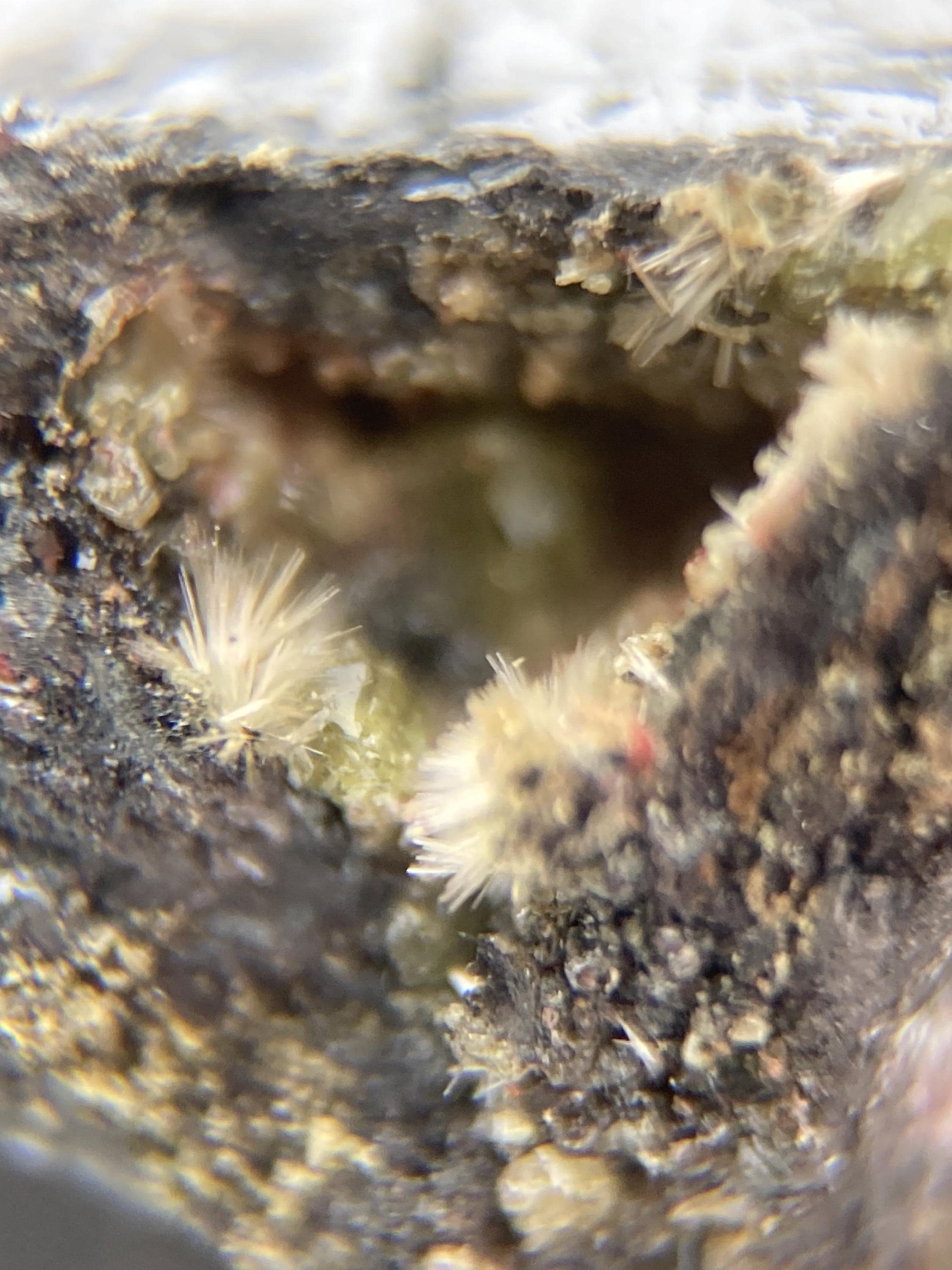 Torbernite mineral - Etsy 日本