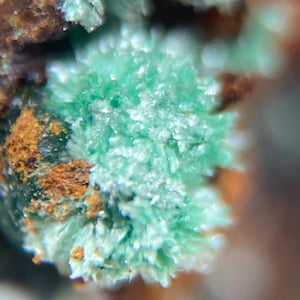 Devilline, Serpieri, Laurion, Grekland - Sällsynta mineralprover, mikromontering, klassiska mineraler och kristaller - Mineralcollection mineralogi