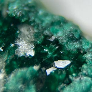 Op de afbeelding: Close-up van een groen en wit mineraalmonster met een ruw, getextureerd oppervlak. Het mineraal heeft een kristallijne structuur en lijkt doorschijnend te zijn.