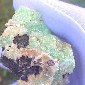May include: A close-up of a mineral specimen with light green crystal clusters on a dark brown matrix. The specimen is held by a white gloved hand, with a blurred green background. The crystals have a crystalline structure.