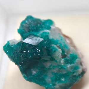 Sharp bright green Dioptase xx, Congo