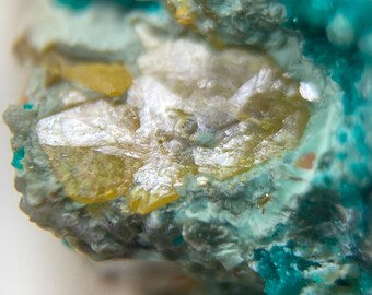 Puede incluir: Primer plano de una formación rocosa con un grupo de cristales de color amarillo claro rodeados de un mineral azul verdoso. Los cristales tienen una apariencia vítrea y translúcida.