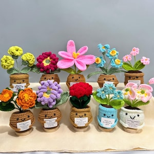 May include: A selection of crochet flowers in small pots. Each pot features a smiling face and a small tag with text. The flowers are in various colours, including yellow, pink, red, and blue. The pots are brown and tan.