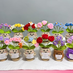 Pode incluir: Uma coleção de plantas de flores de crochê feitas à mão em vasos pequenos. Cada vaso tem um rosto sorridente e contém uma flor de cor diferente, incluindo vermelho, rosa, amarelo e azul. As plantas são exibidas em uma superfície branca.