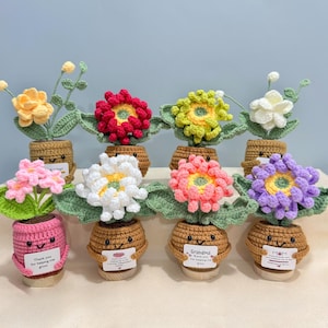 May include: A collection of handmade crochet flower pots in various colors, including yellow, red, pink, white, green, and purple. Each pot has a smiling face and holds a different flower. Some pots have small signs with text.