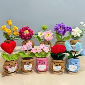 Handmade Crochet Flower Pot Emotional Support Plant Desk Decor Positive Card Gift,Mother's Day Gift, Gift for Mom,Crochet Don't forget me
