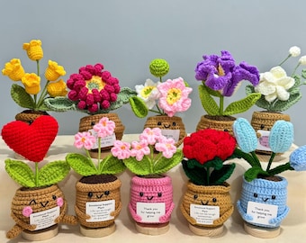 Maceta de ganchillo hecha a mano, planta de apoyo emocional, decoración de escritorio, tarjeta positiva, regalo del Día de la Madre, regalo para mamá, ganchillo No te olvides de mí