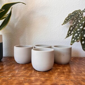 May include: Four small, light gray concrete planters, arranged in a row on a wooden surface.