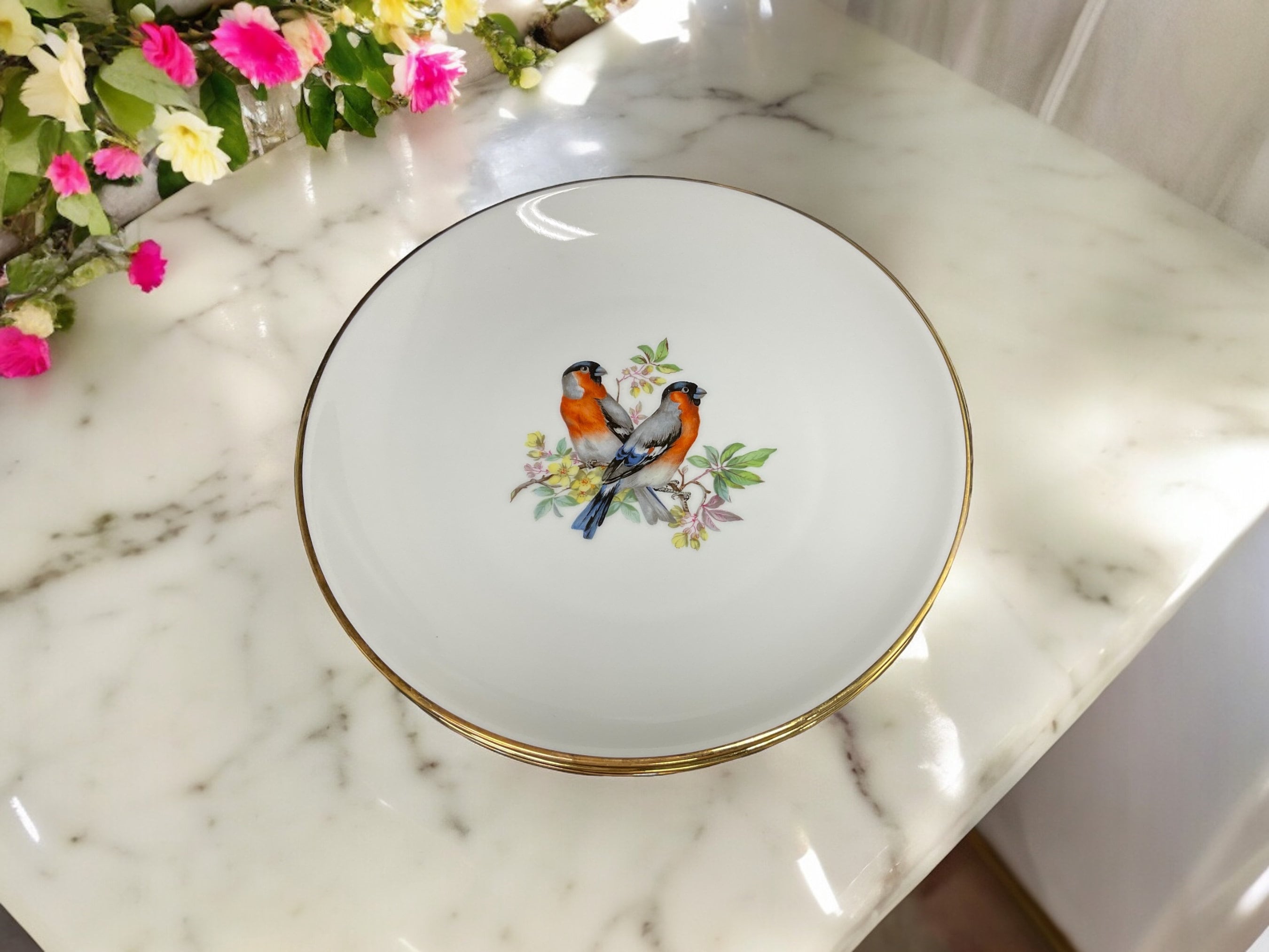 Hutschenreuther Audubon Dinner Bird Plate 10 1/2” German