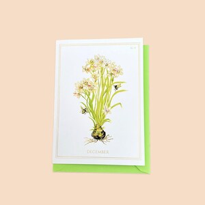 December | Narcissuskaart met goudfolie