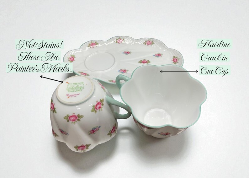 May include: A vintage teacup set featuring a cup, saucer, and plate. The white porcelain pieces are adorned with pink roses and green accents. The cup has a hairline crack. Text on the cup reads "Not Stains! These Are Painter's Marks."